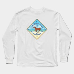 Cumberland Island National Seashore, GA, with Horse on Beach Long Sleeve T-Shirt